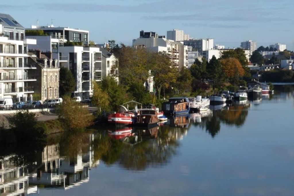 Lulu, Le Studio Du Chateau Apartman Nantes Kültér fotó